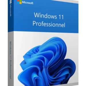 microsoft windows 11 pro bangui - Sentinel ZADO Consulting