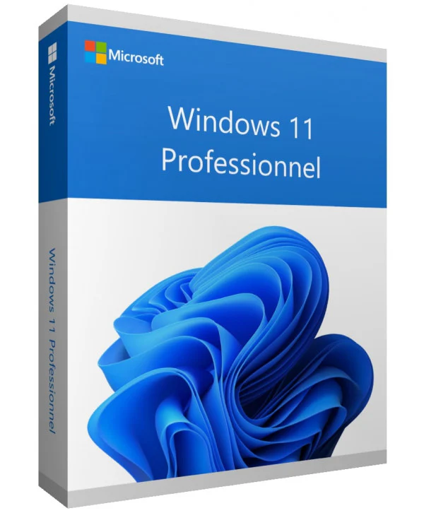 microsoft windows 11 pro bangui - Sentinel ZADO Consulting