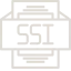ssi