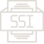ssi